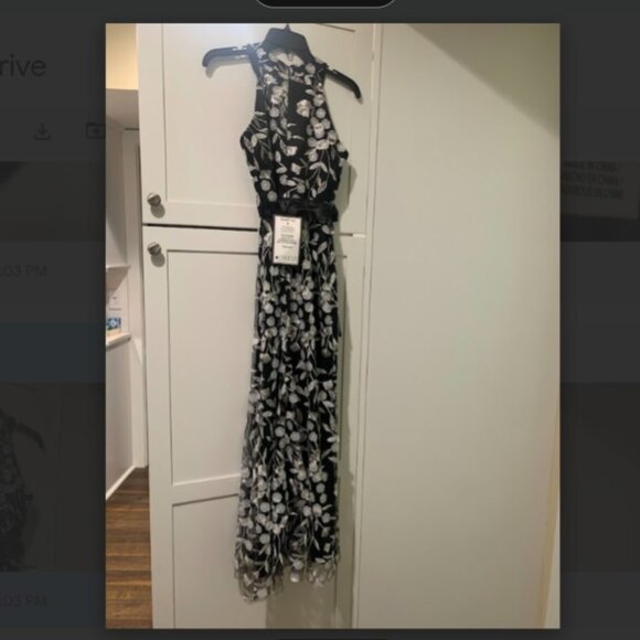 NWT Eliza J Petite Floral-Embroidered Sleeveless Gown, Size 4P (Black and White) - Picture 4 of 6